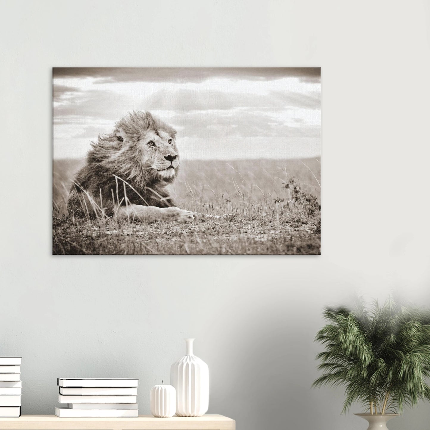 141d5db0-78b4-434b-ab39-bafd75421ae8