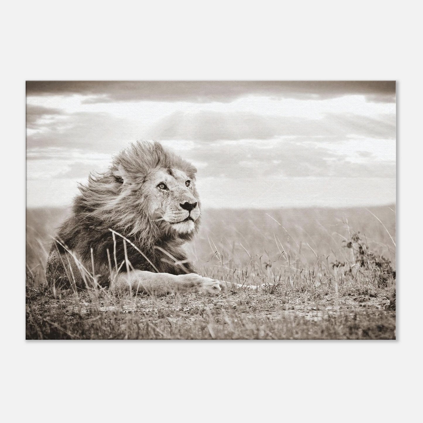 58a4139e-3090-48b1-8e6b-e88bbf99af9a