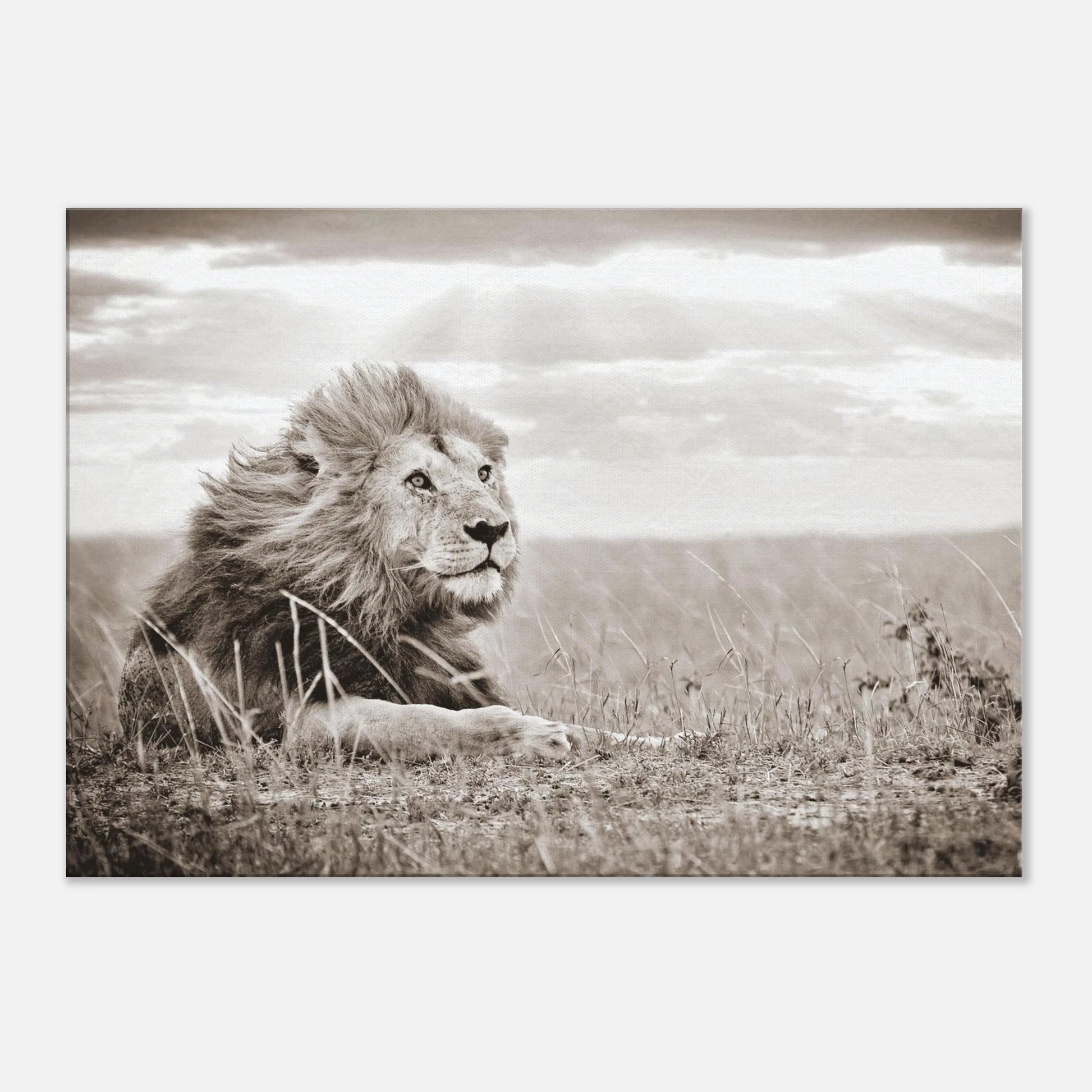 58a4139e-3090-48b1-8e6b-e88bbf99af9a