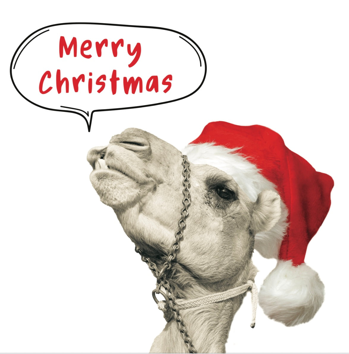 Dubai 'Camel Santa' Christmas Greeting Card