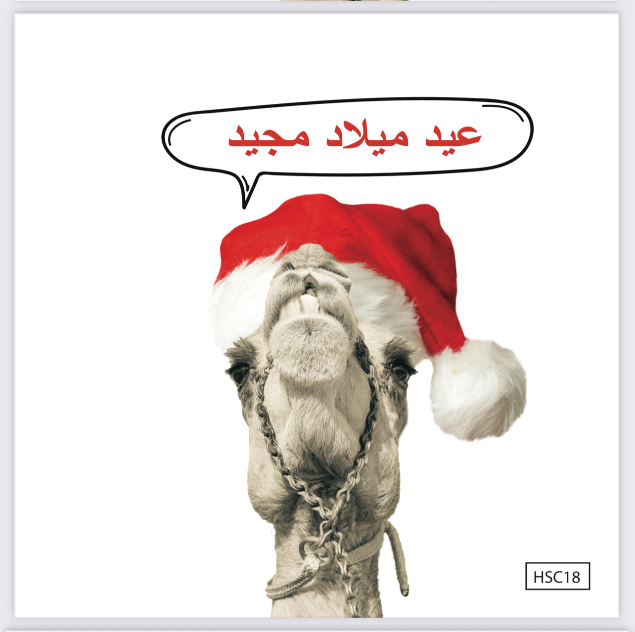 Dubai 'Camel Santa' Christmas Greeting Card