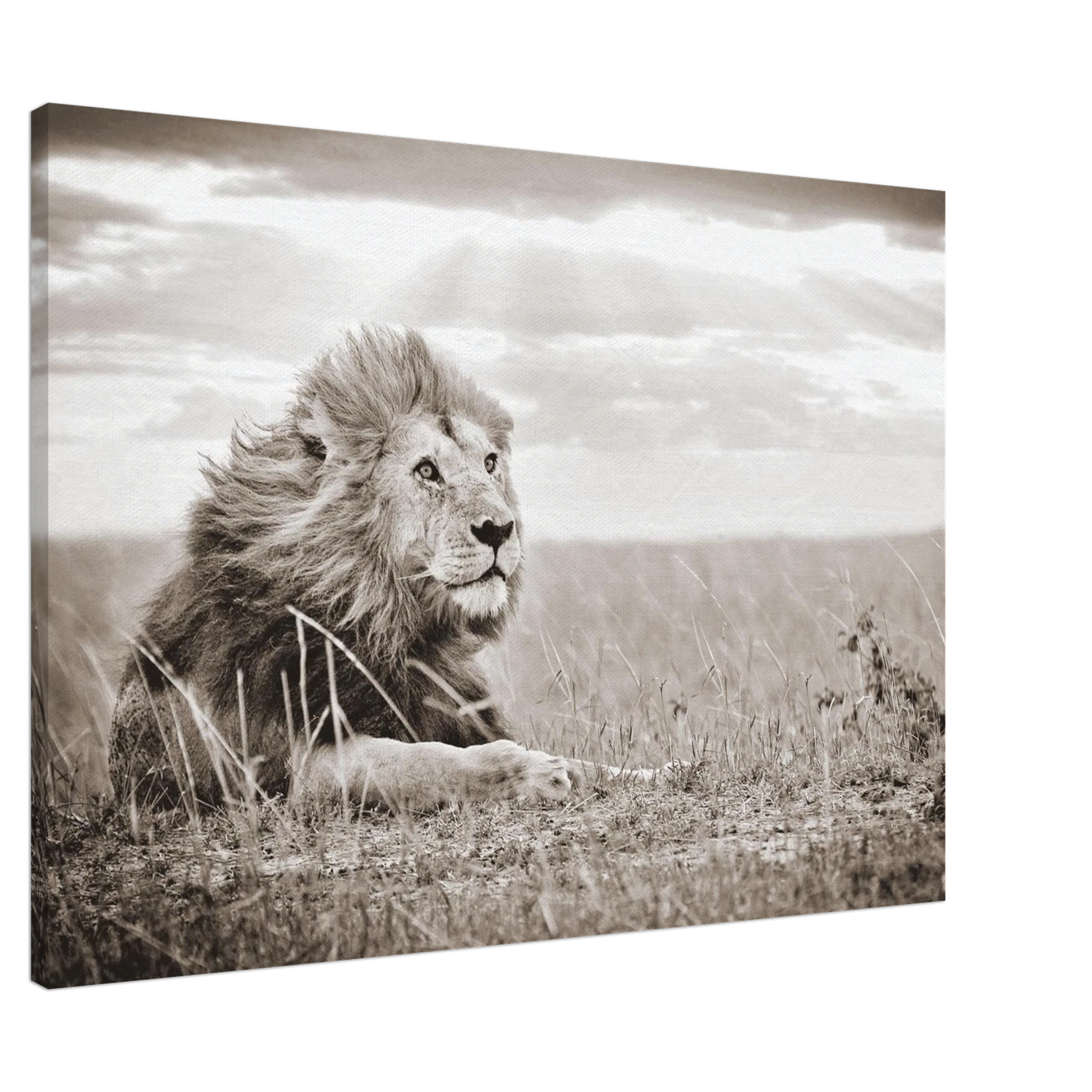 c00a8319-64f9-4875-91ae-cbb8fe922662